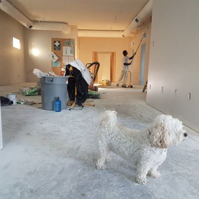 Interior Renovation